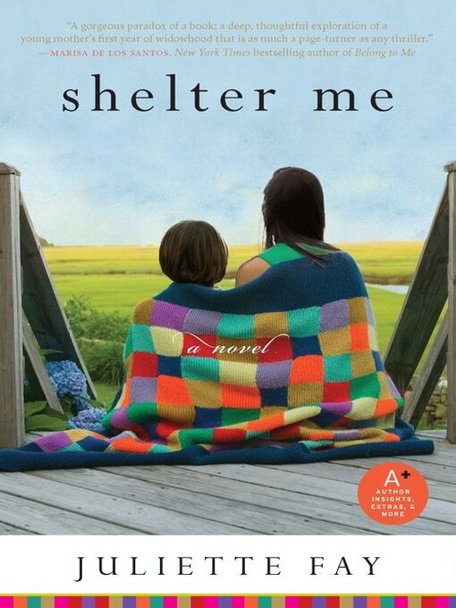 Title details for Shelter Me by Juliette Fay - Wait list